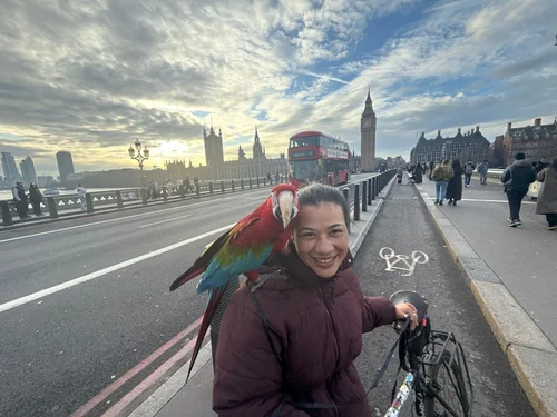 Neta Honorata Maíta com Charlie em Westminster Bridge