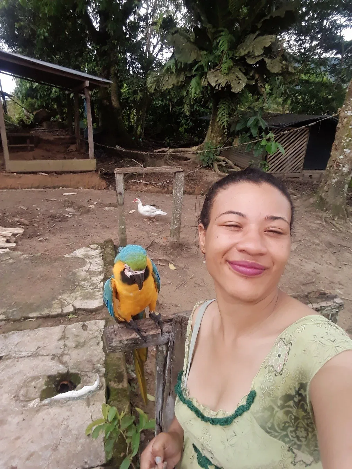 comunidade · ribeirinhos