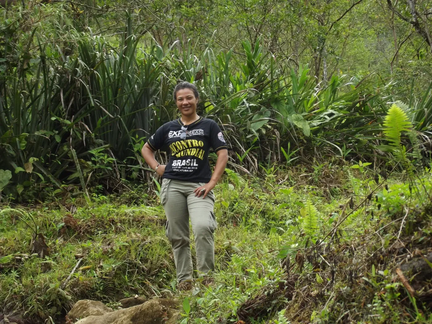 território · pesquisa